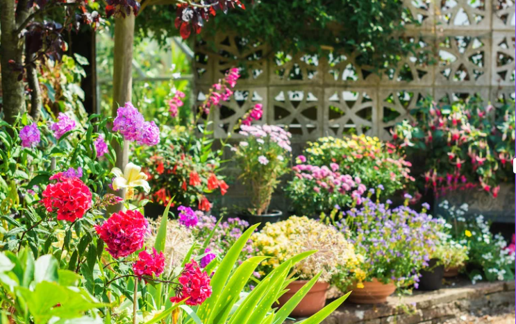Simple gardening ideas for busy lives
